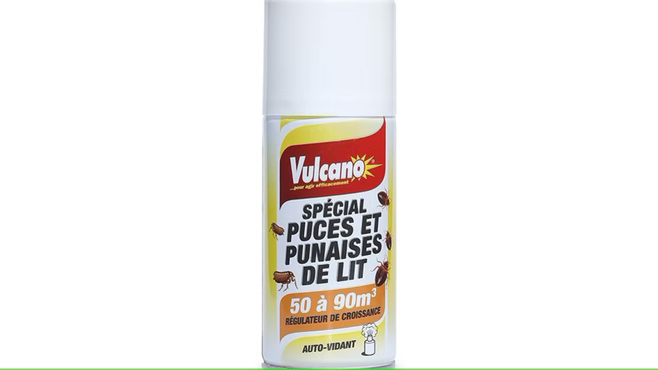 Spécial puces et punaises de lit Spécial puces et punaises de lit
