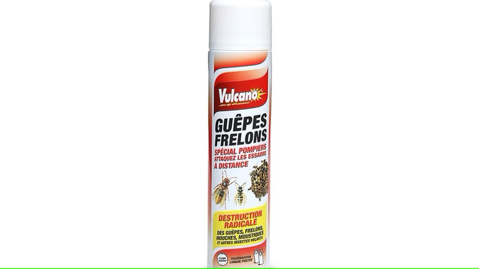 Aérosol spécial guêpes Aérosol spécial guêpes