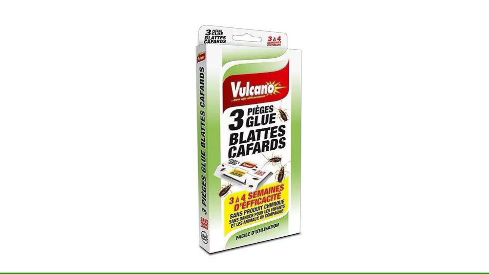 Glue cafards et blattes Glue cafards et blattes