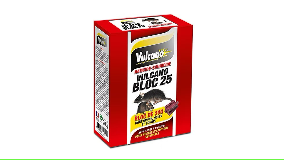 Blocs Blocs