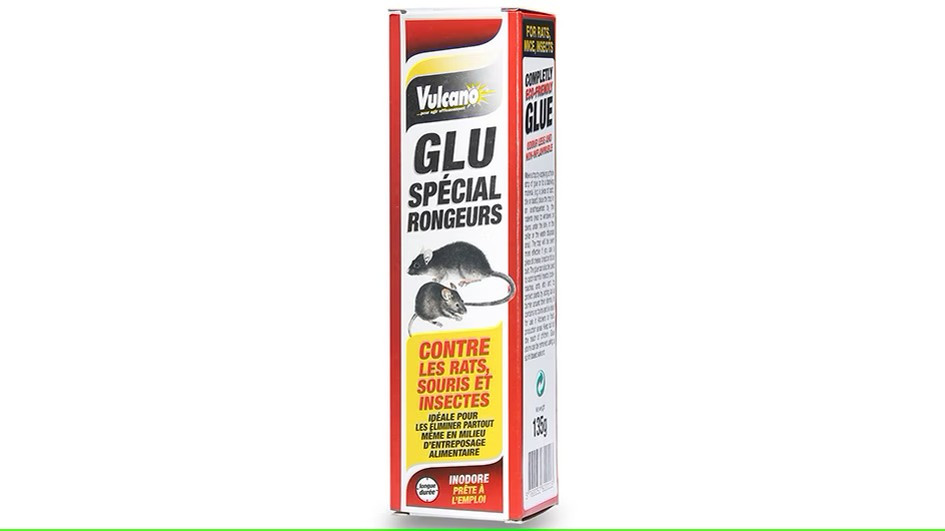Colle rat tube Colle rat tube