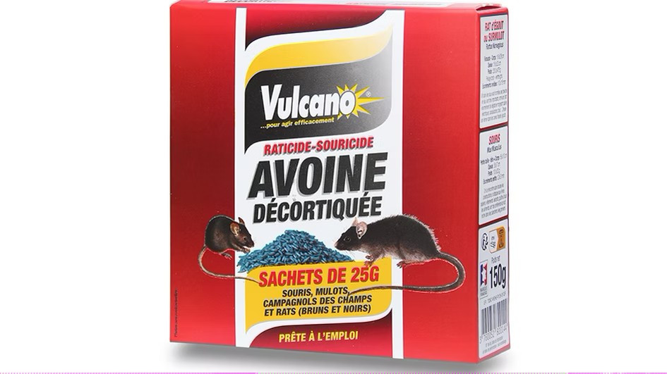 Avoine décortiqué Avoine décortiqué