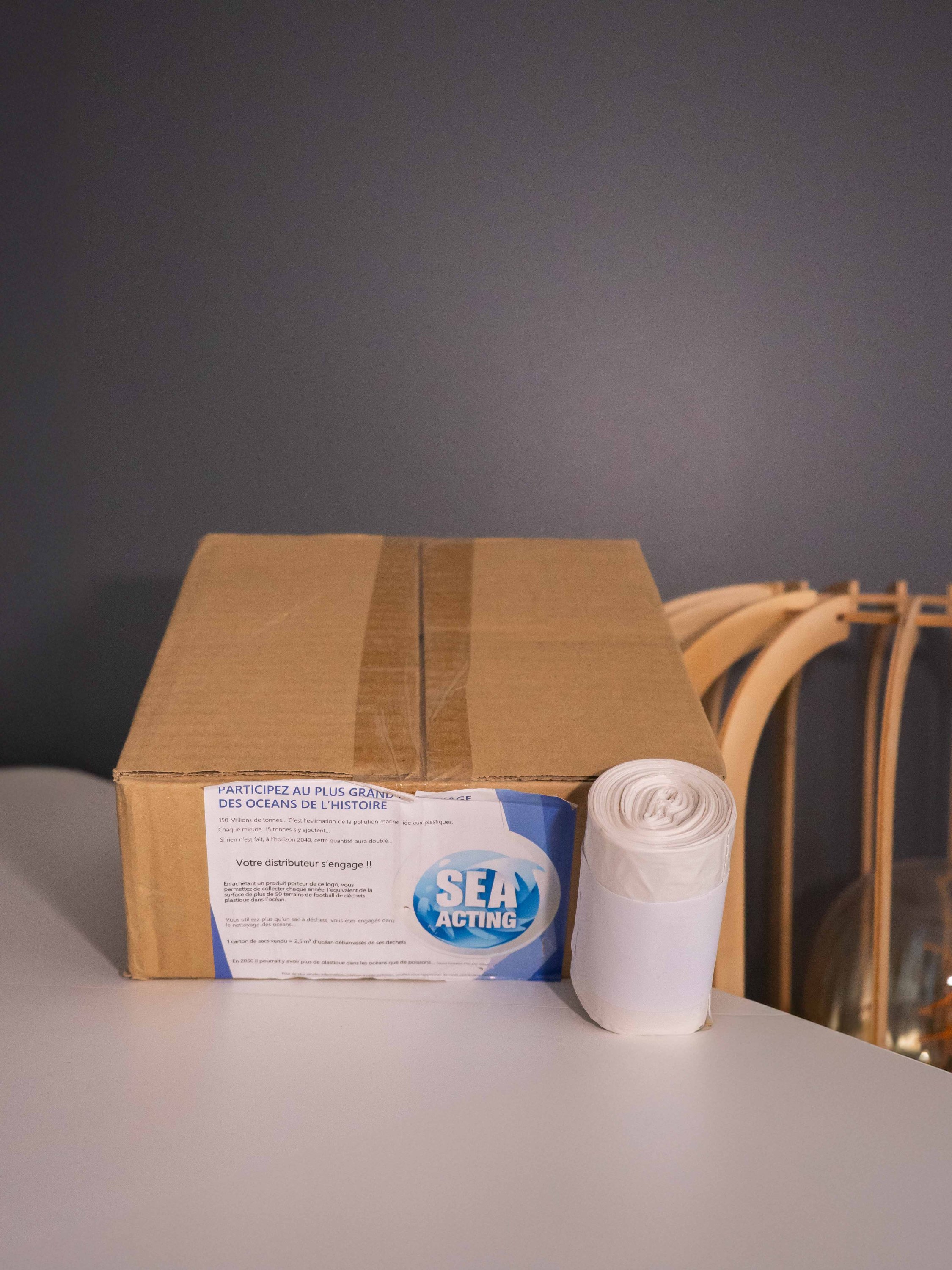 Carton sac poubelles blanc 10L microns: 10µ - 1 Carton de 1000