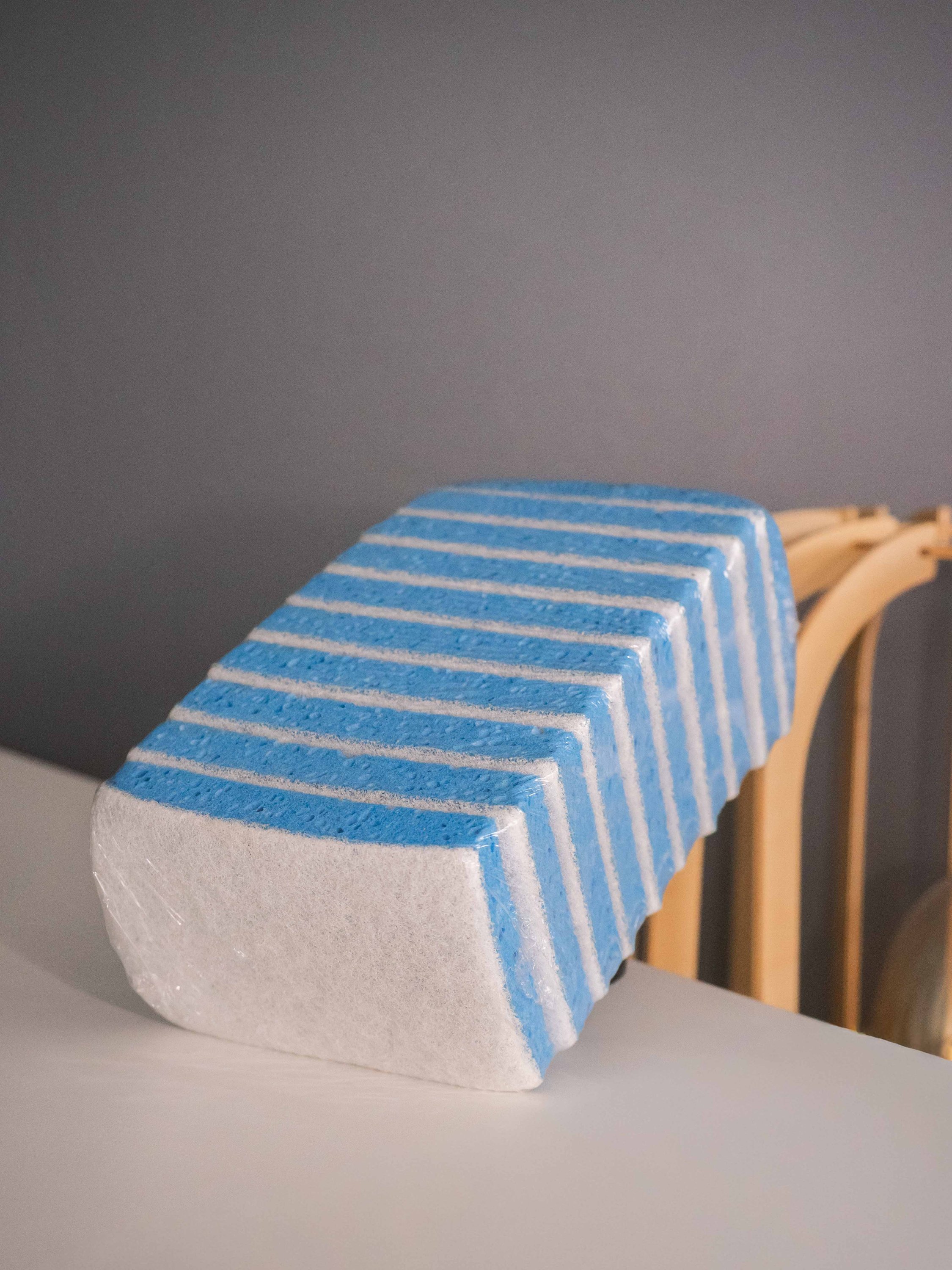 Eponge végétale Bleue CLASSIC sur récurant blanc PM 110x70 - lot de 10
