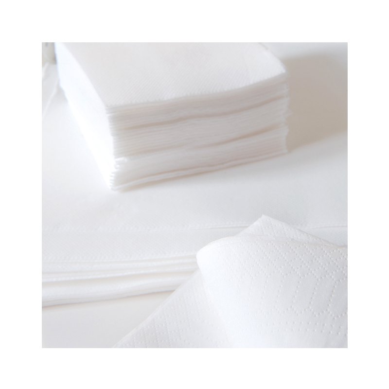 Serviette Ouate Lisse BLANCHE 1 feuille 30x30 - 40 PACKS DE 100 Serviette Ouate Lisse BLANCHE 1 feuille 30x30 - 40 PACKS DE 100